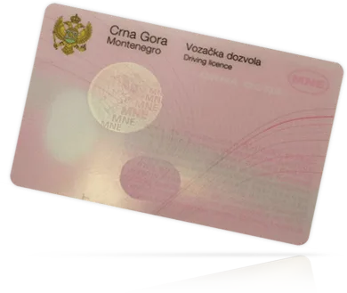 Driving licence for Government of Montenegro